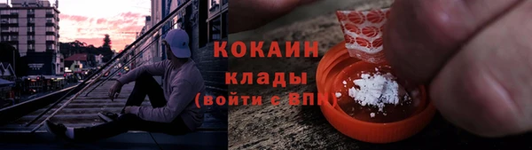 соль ск Алексин