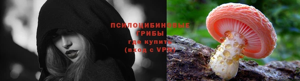 соль ск Армянск