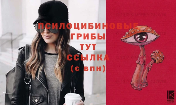 соль курить ск Арсеньев